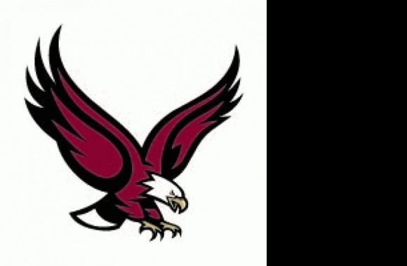 Boston_College_Eagles115[1] Logo download in high quality